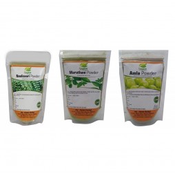 Herbal Glow Duo – Amla & Sandalwood Natural Care Combo